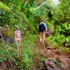 The mile-one sign on the Kalalau trail in Kauai, Hawaii, with a person hiking in the background